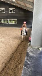 Verzorg pony/paard gezocht, Ophalen, Zo goed als nieuw
