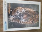 Puzzel Panter  nieuw, Ophalen, 500 t/m 1500 stukjes, Nieuw, Legpuzzel