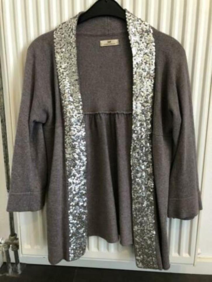 Eyecatcher gaaf vest Day Birger Mikkelsen small s 36, Kleding | Dames, Truien en Vesten, Zo goed als nieuw, Maat 36 (S), Paars