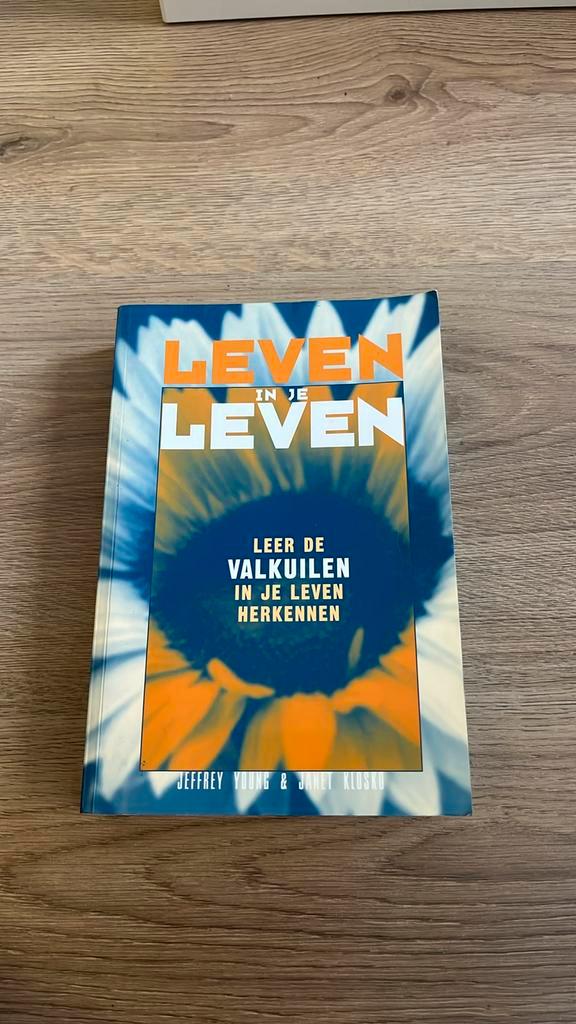 J. Young - Leven in je leven, Boeken, Psychologie, Zo goed als nieuw, Ophalen of Verzenden