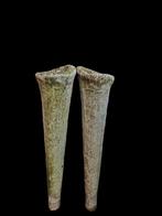 Schitterende vintage unieke zeldzame plantenzuil fakkels, Ophalen, Overige materialen, Gebruikt, Balkon