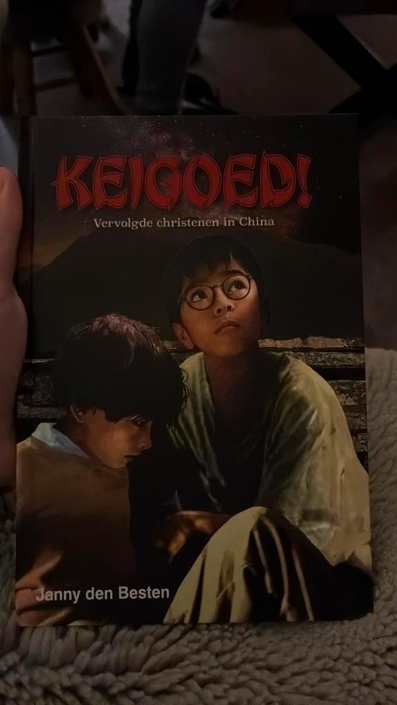 Janny den Besten - Keigoed!, Boeken, Kinderboeken | Jeugd | 10 tot 12 jaar, Zo goed als nieuw, Ophalen of Verzenden