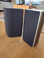 Philips Fidelio AW9000 draadloze speakers, Philips, Gebruikt, Ophalen of Verzenden, Minder dan 60 watt