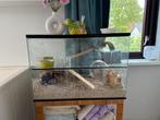 Hamsterhok met benodigdheden, Dieren en Toebehoren, Knaagdieren en Konijnen | Hokken en Kooien, Minder dan 60 cm, Nieuw, Ophalen of Verzenden