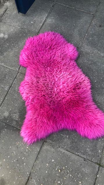ROZE SCHAPENVACHT  beschikbaar voor biedingen