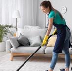 WİE Zoekt/WİlT een huishoudelijke HULP omgeving Leiden?, Wassen