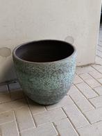 Bloempot binnen, Tuin en Terras, Bloempotten, Ophalen, 40 cm of meer, Rond, Binnen
