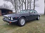 Daimler Jaguar - Double six - V12 - XJ12 - 1986 - Personenau, Auto's, Gebruikt, Overige carrosserieën, Overige brandstoffen, XJ