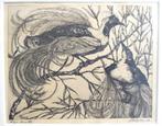 Jan Schonk ets Paradijsvogels, Antiek en Kunst, Kunst | Etsen en Gravures, Ophalen of Verzenden