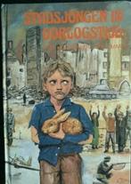 R.Hoogerwerf - Holleman - Stadsjongen in oorlogstijd, Ophalen of Verzenden, Gelezen, R. Hoogerwerf-Holleman