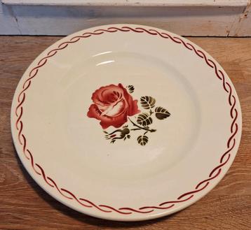 Badonviller oude schaal, Roses beschikbaar voor biedingen