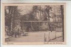 Deventer, Gezicht op het Eilandje, Ophalen of Verzenden, Voor 1920, Ongelopen, Overijssel