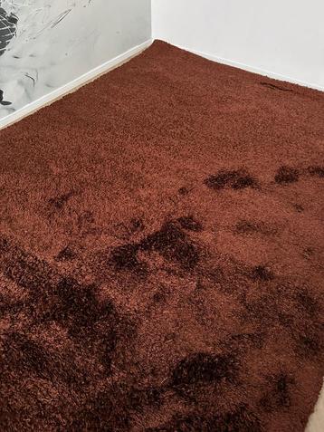 Montel vloerkleed Cassat Shaggy hoogpool XXL 240x340 beschikbaar voor biedingen