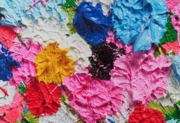 Damien Hirst Fruitfull small Marktprijs 1200,- Bij ons 750,- beschikbaar voor biedingen