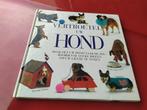 Vertroetel uw hond, Ophalen of Verzenden, Honden