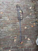 Nieuwe martingaal, bruin, norton, full, Dieren en Toebehoren, Paarden en Pony's | Hoofdstellen en Tuigage, Ophalen of Verzenden