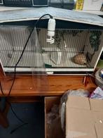 vogel verblijf, Dieren en Toebehoren, Vogels | Hokken en Kooien, Ophalen, Hout, Vogelkooi