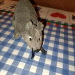 Grijze muis Ikea 13 cm groot *, Kinderen en Baby's, Speelgoed | Knuffels en Pluche, Ophalen of Verzenden