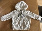 Tommy Hilfiger Hoodie Maat 74, Kinderen en Baby's, Babykleding | Maat 74, Ophalen of Verzenden, Zo goed als nieuw, Jongetje of Meisje