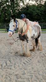 Mooie superlieve merrie zoekt nieuwe plek., Dieren en Toebehoren, Merrie, Minder dan 160 cm, Recreatiepaard, 7 tot 10 jaar