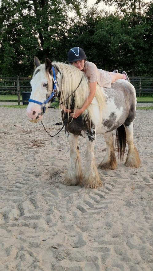 Mooie superlieve merrie zoekt nieuwe plek., Dieren en Toebehoren, Paarden, Merrie, Minder dan 160 cm, 7 tot 10 jaar, Recreatiepaard
