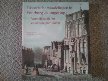 Hist. wandelingen Voorburg & omgeving / K van Leer (2001) beschikbaar voor biedingen