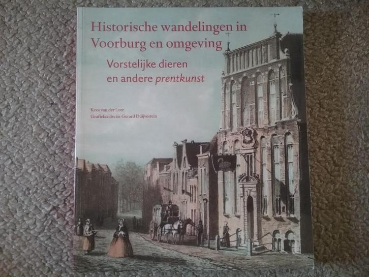 Hist. wandelingen Voorburg & omgeving / K van Leer (2001), Boeken, Geschiedenis | Stad en Regio, Zo goed als nieuw, Ophalen of Verzenden