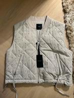 Grijze bodywarmer Pinko, Kleding | Dames, Bodywarmers, Pinko, Nieuw, Ophalen of Verzenden, Maat 36 (S)