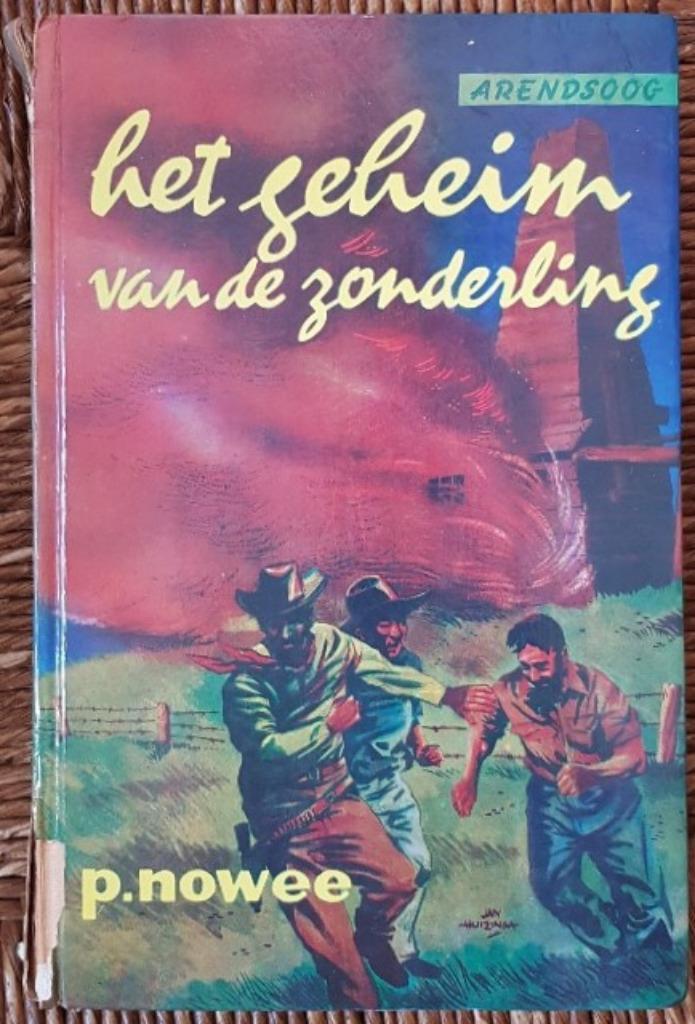 Het geheim van de zonderling - Arendsoog 21 - P. Nowee IGST, Boeken, Kinderboeken | Jeugd | 10 tot 12 jaar, Gelezen, Fictie, Ophalen of Verzenden