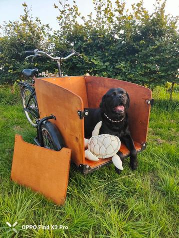 Bakfiets met gebeitste bak  beschikbaar voor biedingen