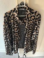 Ned fashion blouse/jasje xxl, Verzenden, Zo goed als nieuw, Maat 46/48 (XL) of groter, Overige kleuren
