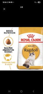 Royal canin ragdoll voer (vandaag actie), Ophalen of Verzenden
