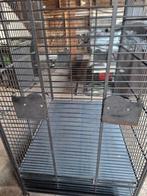 Papegaai kooi, Ophalen of Verzenden, Zo goed als nieuw, Metaal, Vogelkooi