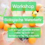 Workshop bio Waterkefir maken, natuurlijke probiotica, Eén persoon