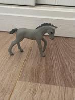Schleich Trakehner veulen, Ophalen of Verzenden, Nieuw, Paard, Beeldje of Figuurtje