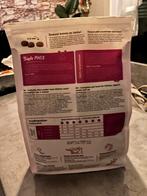 Kitten, Dieren en Toebehoren, Ophalen of Verzenden, Kat