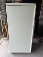 Horec Gram laden vriezer vrieskast diepvries freezer, Witgoed en Apparatuur, Vriezers en Diepvrieskisten, Ophalen of Verzenden