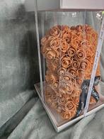 Rozenbeer koper kleur 24 cm Nieuw, Ophalen of Verzenden, Nieuw, Stoffen beer, Overige merken