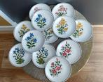 13 Delig Winterling Bavaria taart bord botanisch, Ophalen of Verzenden, Zo goed als nieuw, Bord(en), Overige stijlen