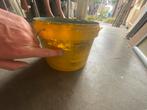 Verf groen - 2L, Gebruikt, Ophalen of Verzenden, Verf, Minder dan 5 liter