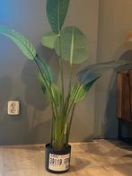 kunstplant, Ophalen, Nieuw