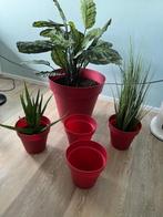 Set van 4 medium en 1 grote lichtrode kunststof bloempot, Ophalen, Kunststof, Gebruikt, Rond
