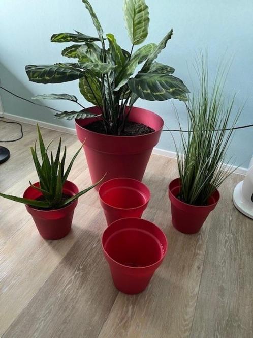 Set van 4 medium en 1 grote lichtrode kunststof bloempot, Tuin en Terras, Bloempotten, Gebruikt, Kunststof, Binnen, Balkon, Tuin