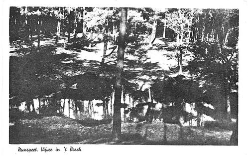 806303	Nunspeet	Gld	 	Nette oude kaart onbeschreven, Verzamelen, Ansichtkaarten | Nederland, Ongelopen, Gelderland, Ophalen of Verzenden