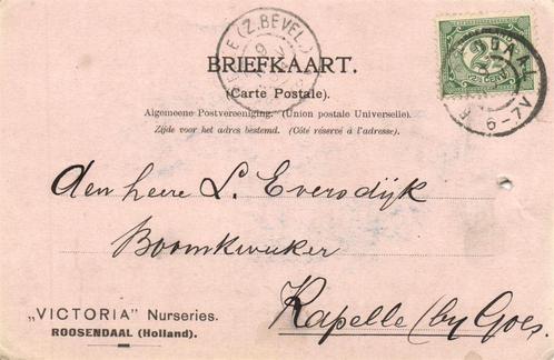 Victoria Nurseries, Roosendaal - 11.1904 - briefkaart, Postzegels en Munten, Brieven en Enveloppen | Nederland, Briefkaart, Ophalen of Verzenden