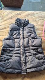 Esprit Bodywarmer S/M - Paardrijden/Verzorgen, Ophalen of Verzenden, Zo goed als nieuw