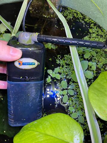 Goed ingedraaide aquarium pomp Superfish aquaflow 100 beschikbaar voor biedingen
