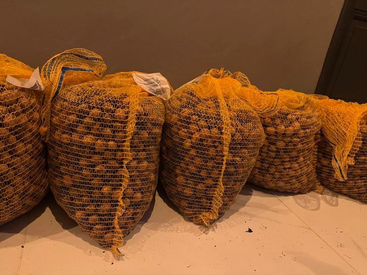 60 kilo Verse Walnoten uit Eigen Tuin, Diversen, Levensmiddelen, Ophalen of Verzenden