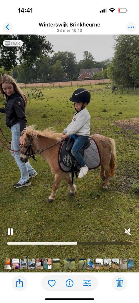 Super liefe kinderpony, Dieren en Toebehoren, Pony's, Recreatiepony, Ontwormd