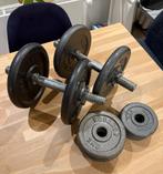 Aanpasbare 2x dumbell set met 32kg aan platen, Sport en Fitness, Ophalen, Dumbbell, Gebruikt, Rug